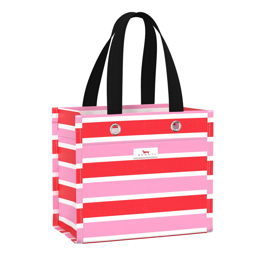 Small Gift Bag - Candy Striper