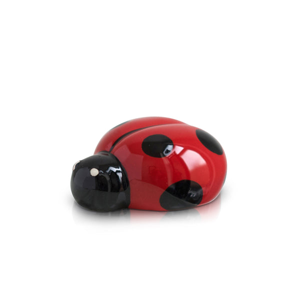 Lil' Ladybug (Ladybug)