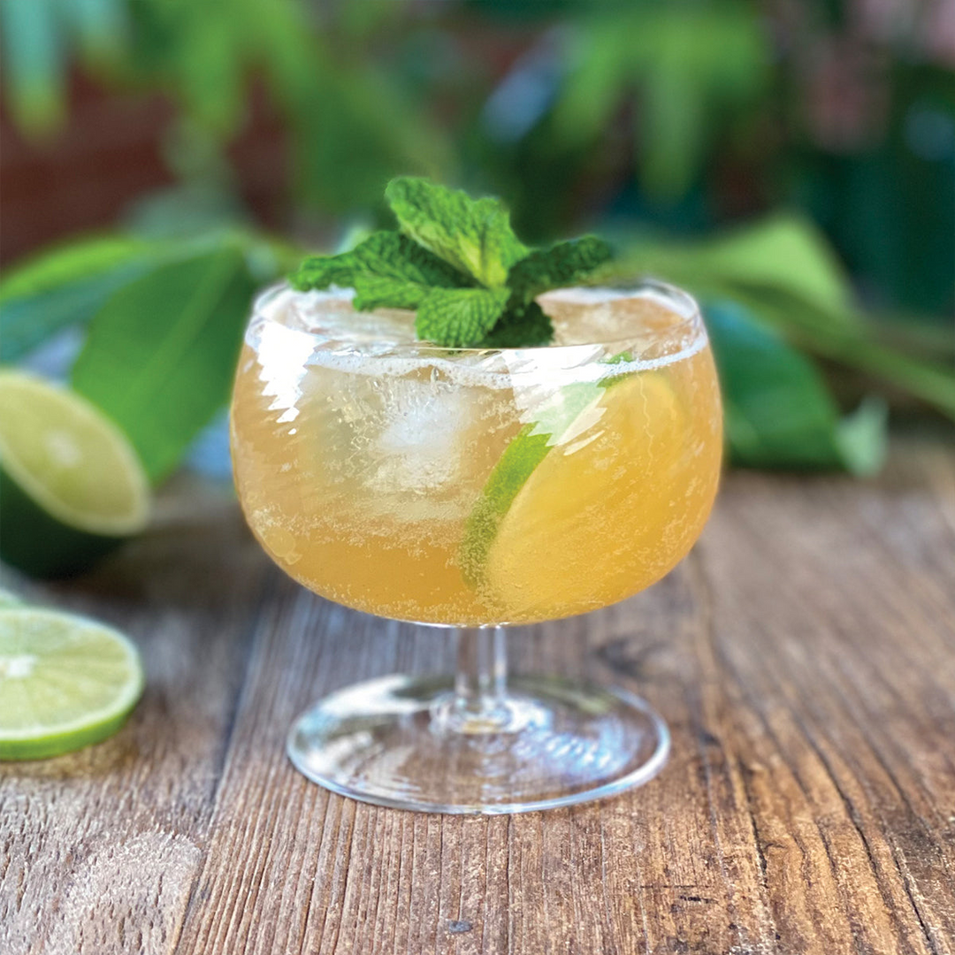 1pt Cocktail Pack - Island Mule