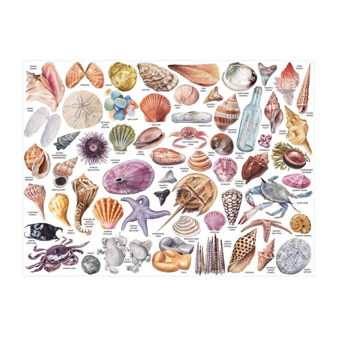 The Beachcomber's Companion 1000 Piece Puzzle