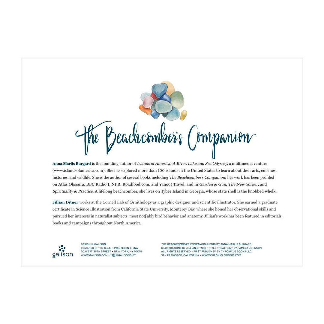 The Beachcomber's Companion 1000 Piece Puzzle