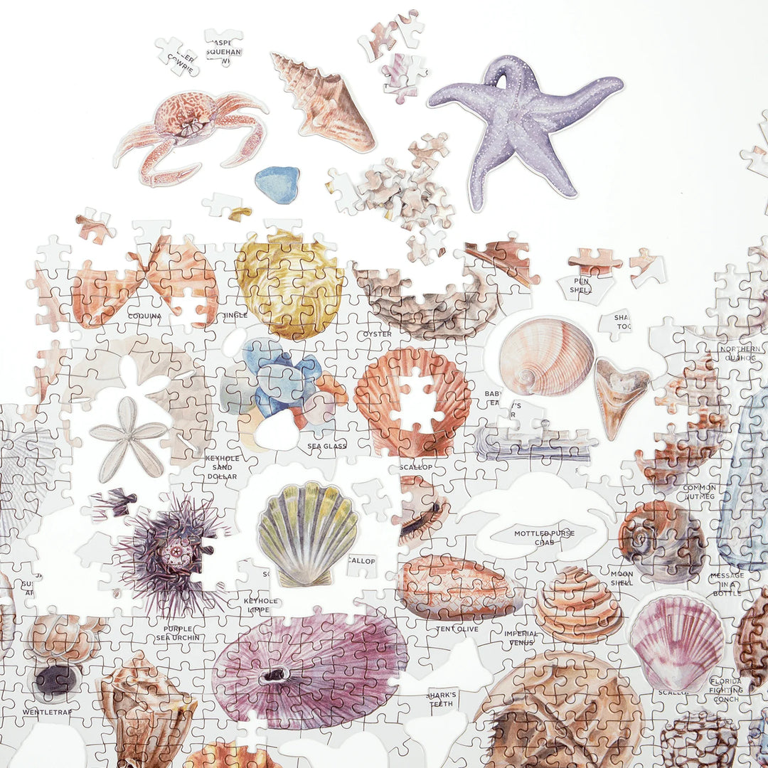 The Beachcomber's Companion 1000 Piece Puzzle