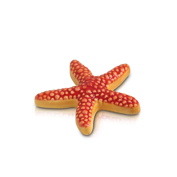 Sea Star (Starfish)