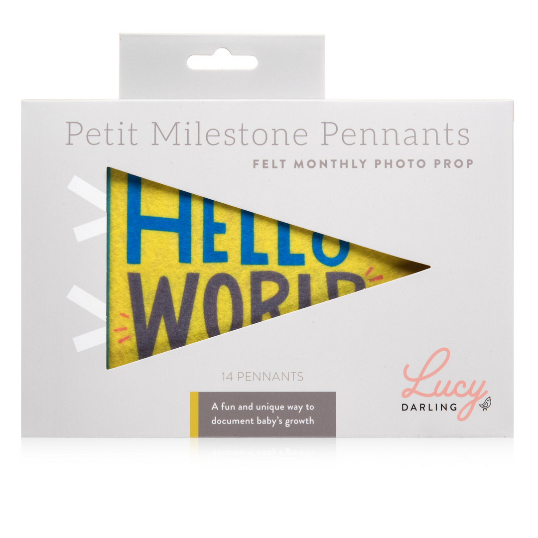Little Kaleidoscope Petit Milestone Pennant