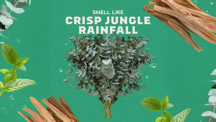 Invisible Glide Deodorant - Rainforest Rapids