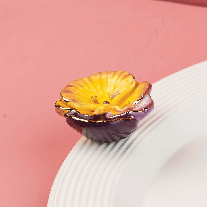 Pansy Pop (Pansy)