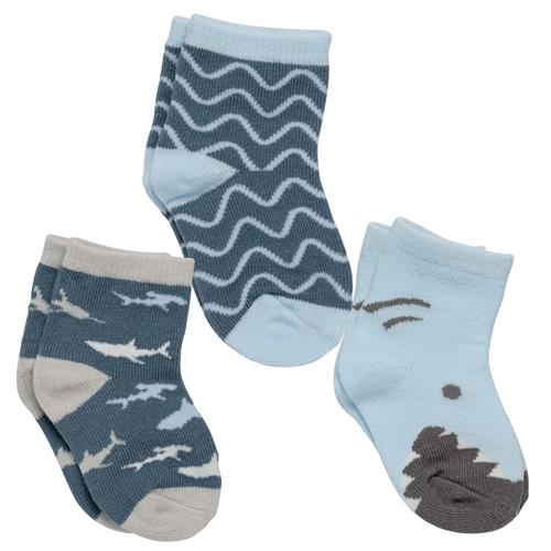 Sock Sets - Shark